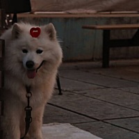 孙奕鸣和孙奕凡哪个好听？或者孙奕什么好听🤔