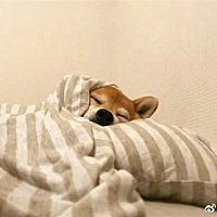 感觉怀孕了，情绪不稳定，容易生气，感觉什么都能惹我生气！😒😒