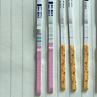 能帮我看一下我这个算强阳吗，是不是要准备安排功课，但是我没有白带拉丝的情况