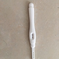 这样是怀孕了吗？我月经是7月5号结束的，这个月一直到现在月经没来，今天早上测试了一下是这样的结果，...