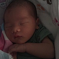 小豆芽，出芽第二天了 像满月的孩子这么大了 胖胖的