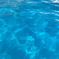 减肥第33天（115-90） 今天体重48.6 还胖了 可能是我吃夜宵了 今天去游泳啦 瘦瘦瘦 ！