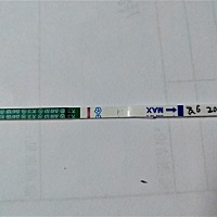 排卵11天，意念灰是不是怀孕了呀