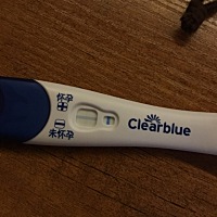 7月31号排卵。8月7号忍不住测了一下…好像有希望