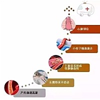 在怀孕期间，孕妇子宫变大，压迫腹部的静脉，会导致血液回流受阻，常常会引起下肢及盆骨静脉曲张；此外...