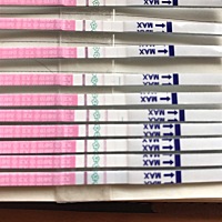 最后一条 今天的排卵 有希望嘛