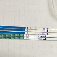 是不是怀孕了 是不是怀孕了