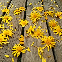 恶心两三天了，感觉好难受啊