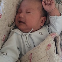 🤤🤤快两个月了。从怀孕到现在感觉和做梦一样。不知不觉就过了。