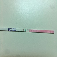 姐妹们帮忙看下是不是要排卵了，今早10点左右测的，昨晚同房一次会怀孕吗，