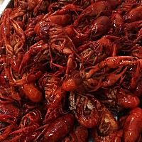 晚上吃了好多龙虾