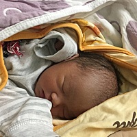 8月6号那天下午，宝宝37周6提前生了，剖腹产，6.2斤男宝宝一枚！宫内缺氧，脐带被他自己打了好几个圈圈...