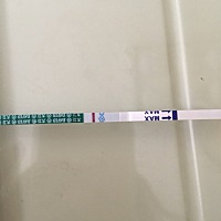 7月11月经末，姨妈没来，测白板，以前来姨妈前一个礼拜左右胸会痛，这次胸今天才开始有点痛，不知道是要...