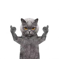 😔😔末次月经6.28 推迟了十几天了 到现在也没来 测也测不出来。结婚快两年了 今年一直在备孕就是怀...