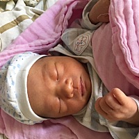 男宝一枚，都说是女孩，生出来是男宝，前期肚子圆圆的不是很显怀，肚子上细下粗，我的下线便左可能是男...