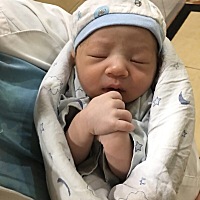 这条命真的是无痛给的 初一喜提一只小公狮 6斤2两