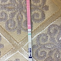 很淡很淡的两条杠，会是怀孕了吗？末次月经7月17日，28天一个周期