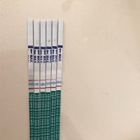 连续几天测的，今天是PL后的第19天，正常吗？