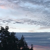 宝妈们买尿不湿都是在哪里买的？