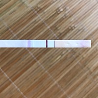 末次月经7.15 今天测了测 很浅的一道 我就把验孕棒拆了 以为能看的清楚 结果还是很浅 有会看的宝妈们看...