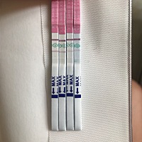 测排卵怎么看啊？求解