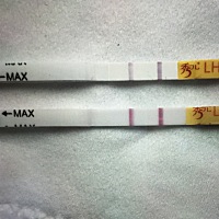 还有四天来姨妈了，排卵试纸这样会有可能怀孕吗？