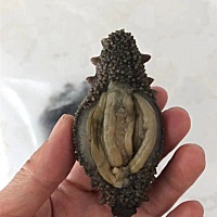 听月嫂说吃海鲜 然后给孩子喂奶会长湿疹。那现在怀孕中吃海鲜没啥影响吧。自从发帖问过各位姐妹燕窝跟海...