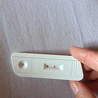 7月17号月经开始，周期28天，排卵期有同房，刚测出来这样显示，是没有怀孕？