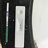 今天刚测出来的，但不是早上测的不知道准不准