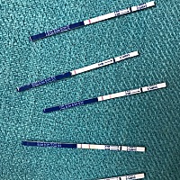 这样能确定是怀孕吗