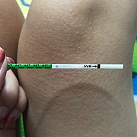 急急急  请问这是怀孕了吗