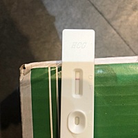 这是没有怀孕吧？