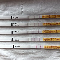 还有两天来姨妈，我的这个排卵试纸啊……有戏吗还这个月？