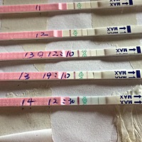 都还没有强阳过、对比线怎么越来越淡了