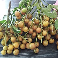 孕15周，脸上开始长班斑了怎么办？ 有没长斑的宝妈