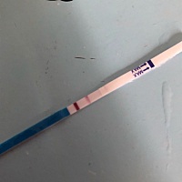 这是怀了还是没怀