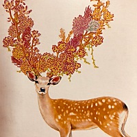 你们对验孕棒和试纸有什么样子的看法？为什么试纸2条杠，验孕棒一条……