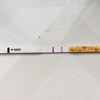 刚刚的排卵试纸，还有一两天来姨妈了，会有可能怀孕吗？早早孕在路上了，晚上就知道结果了💪🏻💪...