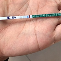 备孕半年了，眼睛都找瞎了，有没有意念灰啊，亲们看看