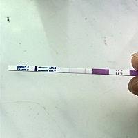 这说明什么？这是排卵试纸