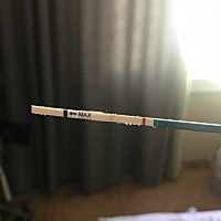 我想问一下各位准妈妈这是什么意思啊？上个月5号来月经，这个月已经延迟10天了。。