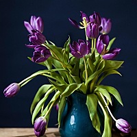 你们有没有和婆婆有隔和吖，相处不来的吖