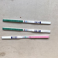 今天测了排卵和早孕都是两个，怎么回事？