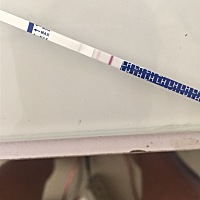 有四天来好事，刚用排卵试纸测了弱阳……什么意思有经验的分享下