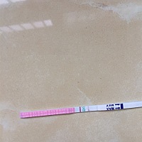 我这是怀孕了吗？