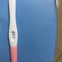 这是有了吗？？？