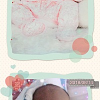 大宝和二宝的相似度