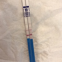 今天早上测的  不知道是不是了