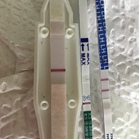 姨妈还有三四天来，无任何症状，排卵试纸强阳，早早孕白板……是不是没希望了？