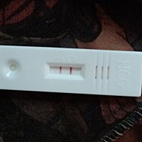 情人节礼物，希望是个男宝宝！